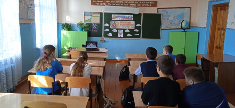 Жизнь в Движении.